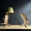 Elandgewei lampen