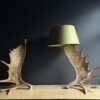 Elandgewei lampen