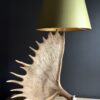 Moose antler lamps XL