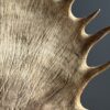 Moose antler lamps XL