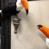 Kunstwerk met twee toekans
