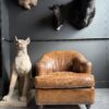 Vintage leren clubfauteuil Vintage leren clubfauteuil