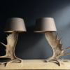 Elandgewei lampen