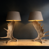 Elandgewei lampen