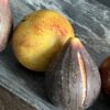 Decoratief stenen fruit Decoratief stenen fruit