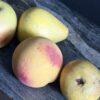 Decoratief stenen fruit Decoratief stenen fruit