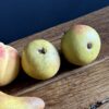 Decoratief stenen fruit Decoratief stenen fruit