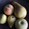 Decoratief stenen fruit Decoratief stenen fruit