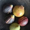 Decoratief stenen fruit Decoratief stenen fruit