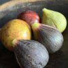 Decoratief stenen fruit Decoratief stenen fruit