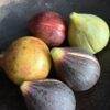 Decoratief stenen fruit