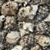 Oester ornamenten