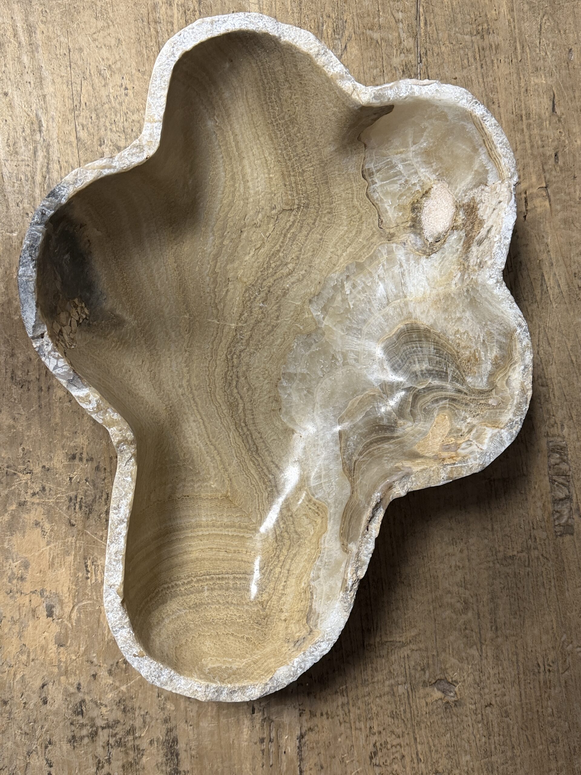 Onyx schaal Onyx schaal