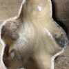 Onyx schaal Onyx schaal