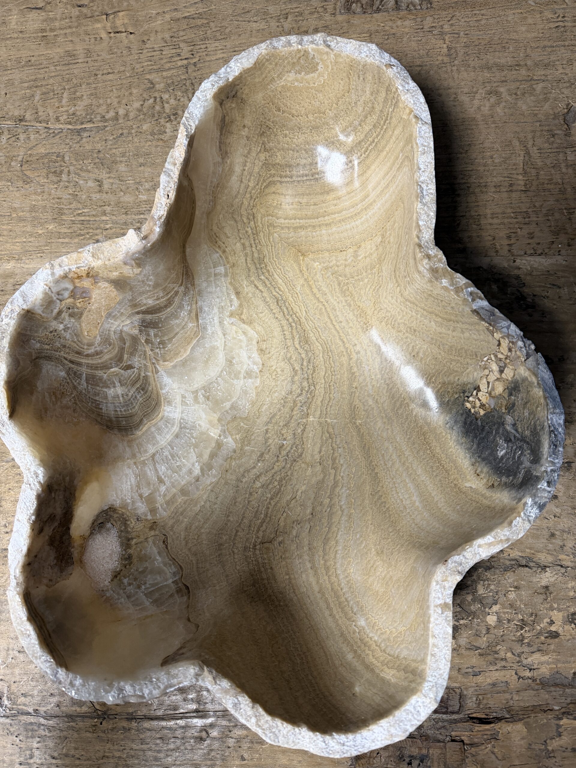Onyx schaal Onyx schaal
